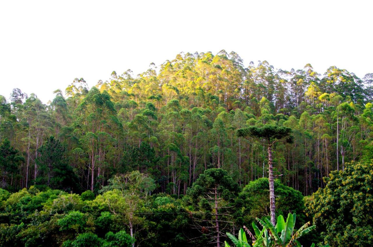 Chalé vista da mata Visconde de Mauá Exterior foto